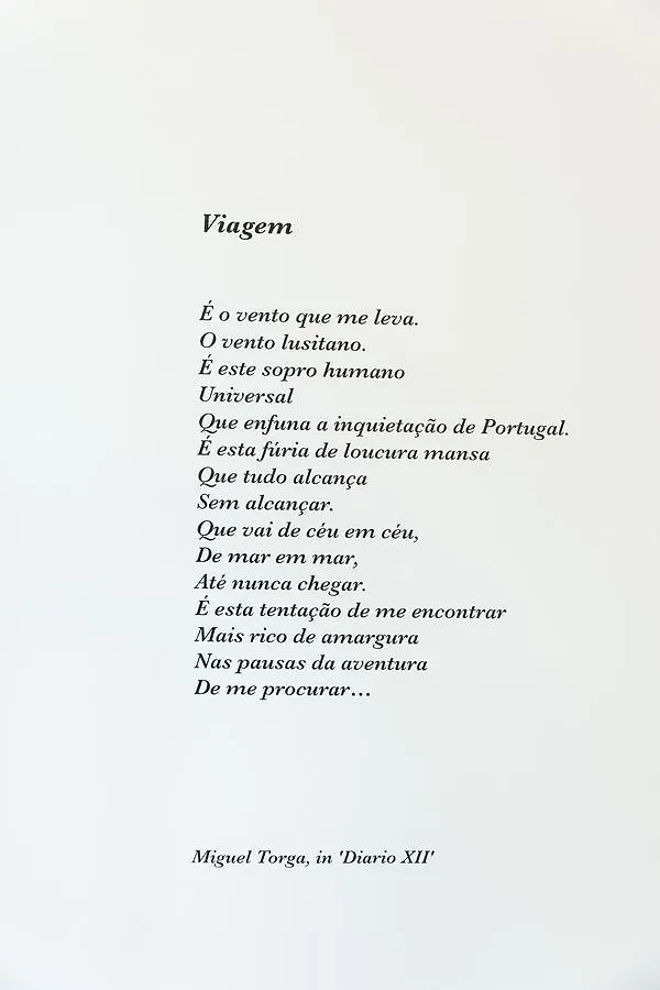 Apartment Orpheus - Miguel Torga - Unesco Heritage Coimbra